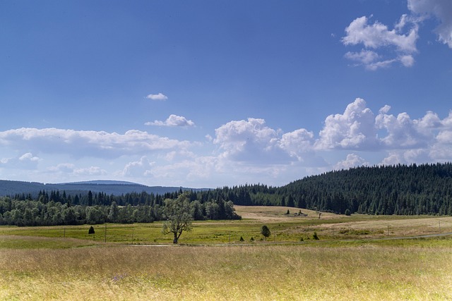 O výhodách prenájmu karavanu
